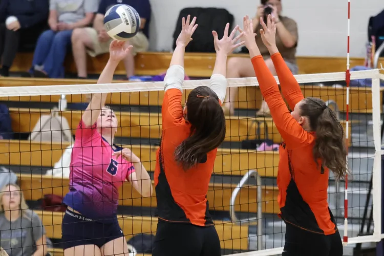 Wilmot leads Fredonia volleyball past Falconer